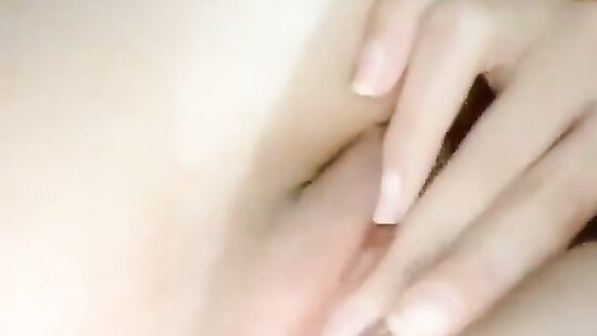 kitty