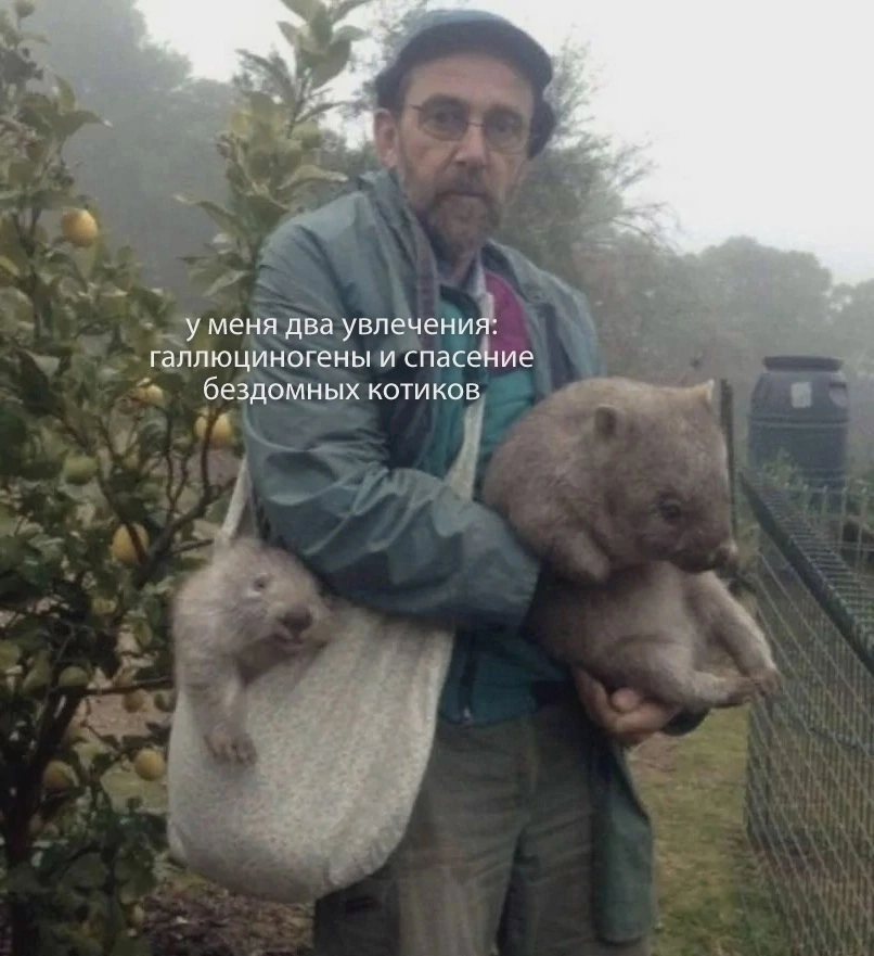 Прикрепление